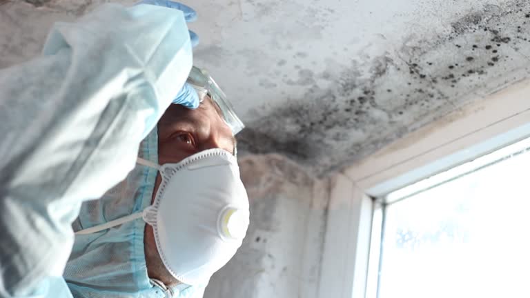 Best Mold Removal for HVAC Installations  in Elkland, PA